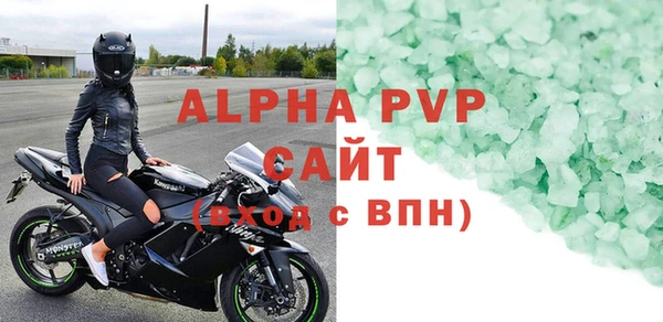 индика Инта
