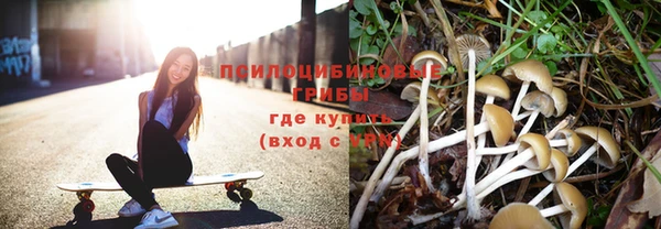каннабис Зеленокумск