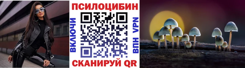 Купить где  Сегежа  Галлюциногенные грибы GOLDEN TEACHER 